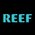 Reef Sandals