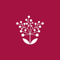 Roccoco