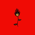 Roses del Fuego