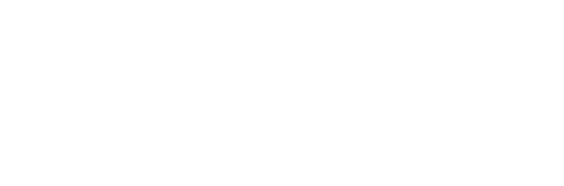 Shinesty