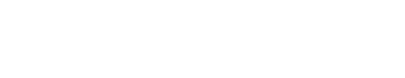 Speedo