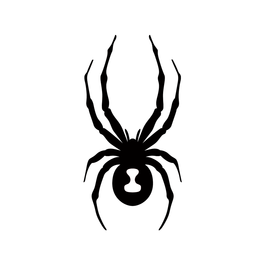 Spyder