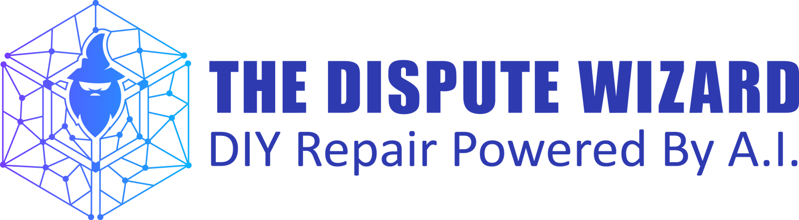 The Dispute Wizard