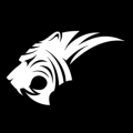 Tiger Music